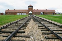 Auschwitz-Birkenau and Wieliczka Salt Mine Day Tour from Krakow with private car