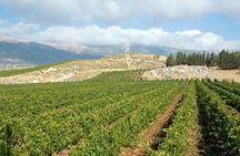 PRIVATE Wine Tasting Tour to the Bekaa Valey Fabulous Wineries