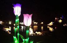 Glow Garden Ticket & Two Way Private Transfers