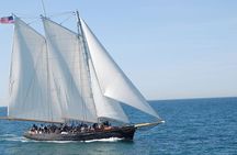 San Diego Whale Watching Cruise