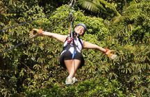 Canopy (Zip Line) - Half Day Pass Braulio Carrillo