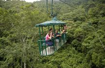 Aerial Tram and Zipline Tour Jacó Rainforest Adventures