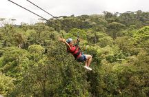 Zipline Tour in Braulio Carrillo National Park From San José