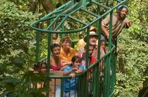 St. Lucia Zip line, Aerial Tram and Hiking tour Ultimate 3