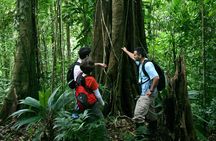 Hike at Rainforest Adventures Costa Rica Braulio Carrillo