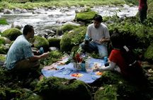Hike at Rainforest Adventures Costa Rica Braulio Carrillo