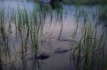 Florida Everglades Private Night Airboat Ride Tour 