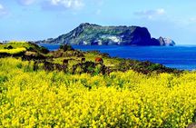 Jeju Premium Small Group UNESCO Day Tour - East Course