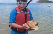 St Thomas Mangrove Lagoon Kayak and Snorkel Tour in the US Virgin Islands