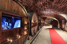 Côtes de Provence Small Group Day Trip with Winery Visits & Tastings from Nice