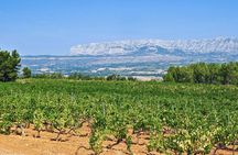 Half day Wine Tour in Côtes de Provence Sainte-Victoire from Aix en Provence