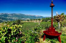 Half-day Wine Tour in Bellet wine region from Nice
