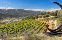 Full-day Wine Tour in Bellet & Saint-Paul de Vence from Nice
