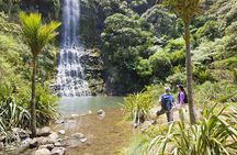 Private Auckland Luxury Tour