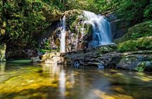 Full day: Hoi An - Bach Ma National Park