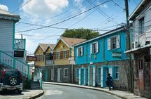 Discover Nevis, Island Tour (Private) 