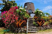 Discover Nevis, Island Tour (Private) 