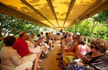 St Kitts Scenic Train Tour (Hotel or Ship)