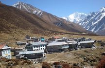 Langtang Trekking - 12 days