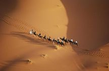 Luxury Sahara Desert Tour from Marrakech : 4-Day to Fes