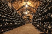 Cavas Freixenet Wine Tour from Mexico City