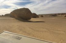 Private Day Tour to El Fayoum & Valley of the Whales from Cairo