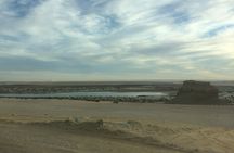 Private Day Tour to El Fayoum & Valley of the Whales from Cairo