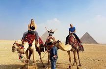 Private Tour Giza Pyramids,Sphinx, Sakkara ,Dahshur Pyramids,Lunch and Camel 
