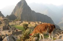 7-Day Lima and Cusco Tour with Sunrise at Machu Picchu