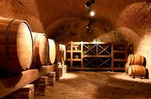 2-Day The Wine and Pisco Route in Paracas from Lima