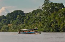 3-Day Tambopata Amazon Jungle Tour at Inkaterra Reserva Amazónica