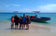 Water Taxi Signal Island Turtle Tour for cruisers