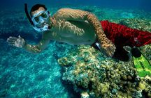 Key West Rum and Reggae: Reef Snorkel Adventure and Sunset Sail