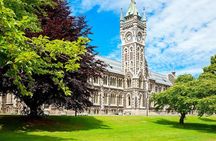 Dunedin City and Coastal Views 3-Hour Small-Group Guided Tour