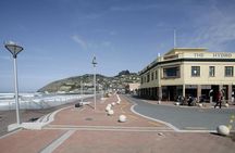 Dunedin City and Coastal Views 3-Hour Small-Group Guided Tour