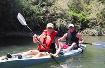 Guided Kayak Tour on Russian River