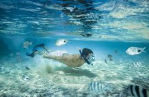 Punta Cana Booze Cruise with Snorkeling, Natural Pool & Open Bar