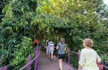 Walk the Darwin Botanic Gardens