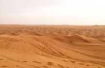 Dubai Morning Desert Small-Group Tour with Dune Bash