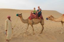 Dubai Morning Desert Small-Group Tour with Dune Bash