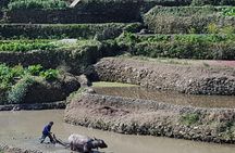 4-day Yuanyang & Stone Forest Photograph Tour