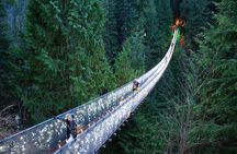 Explore Vancouver City & Capilano Suspension Bridge Canyon Lights
