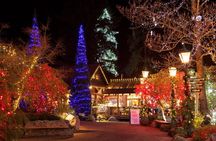 Explore Vancouver City & Capilano Suspension Bridge Canyon Lights