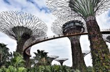 6 or 8 Hour Private Shore Excursion of Singapore by walk