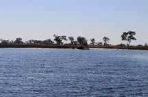 1-Day Okavango Delta Boat Safari from Maun
