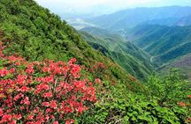 Private Tour: Yao Mountain and Tea Plantation from Guilin
