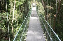 Roatan Shore Excursion: Hanging Bridges Eco Tour and Beach Break