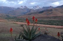 Drakensberg Mountain day Tour into Lesotho from Durban
