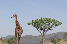 3 Days Durban Safari Tour Package