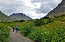Anchorage Scenic Mountain Bike Tour